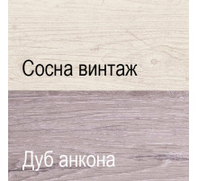 Компьютерный стол Монако 1D1S