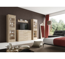 Гостиная Элана от МебельГрад, комплектация 2 Гостиная Элана от МебельГрад, комплектация 2